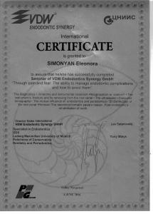 сертификат-Элеонора-6